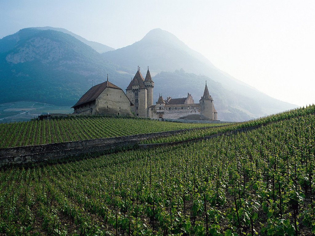 Swiss Countryside